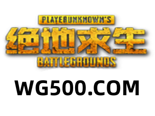 绝地求生 VC 老牌子作者-支持所有处理
